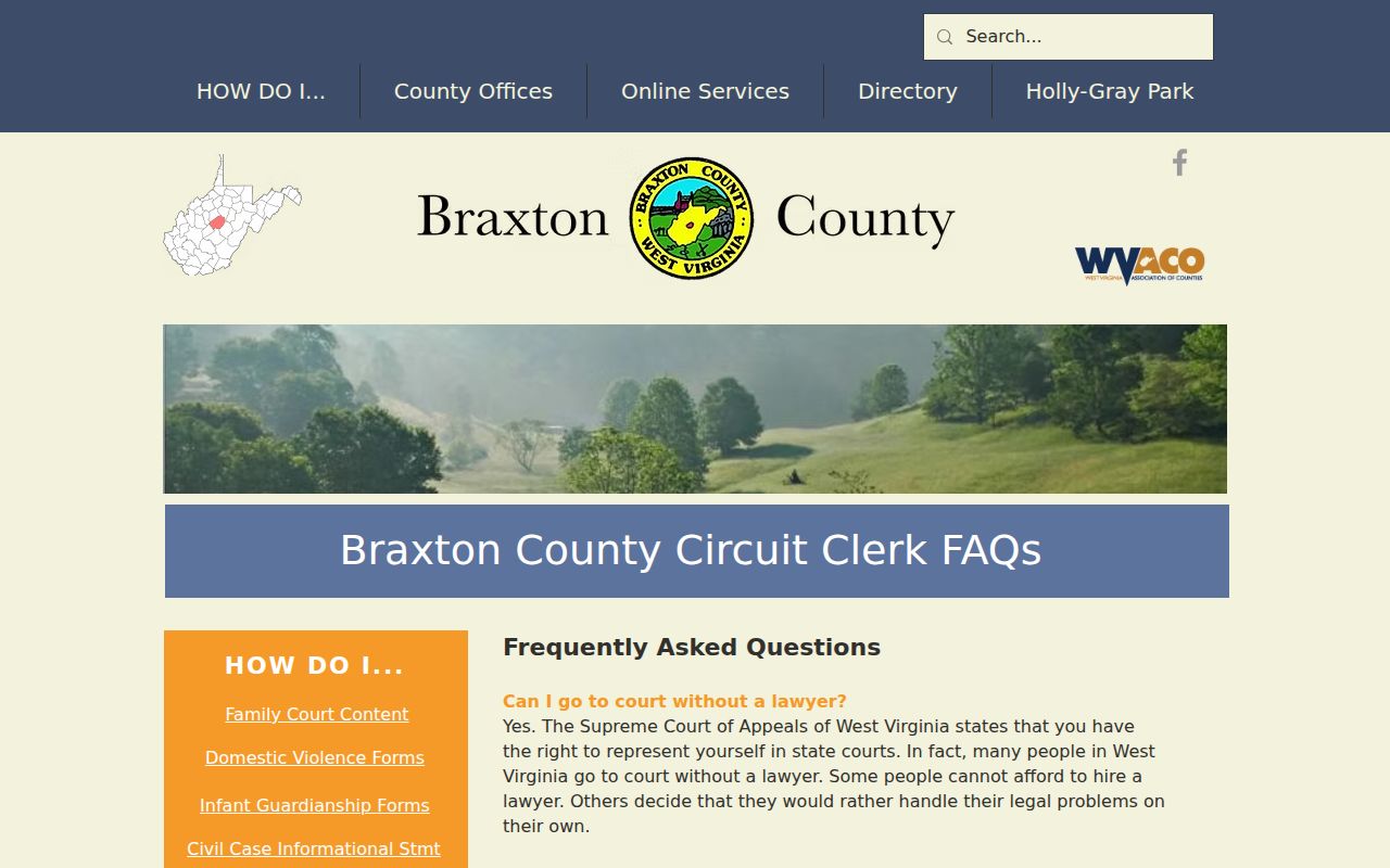 Braxton County criminal docket public record and copy FAQ